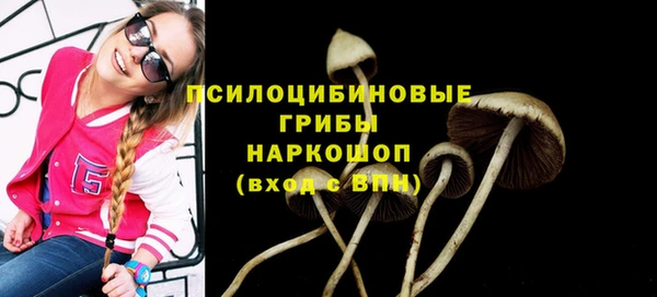 экстази Каменск-Шахтинский