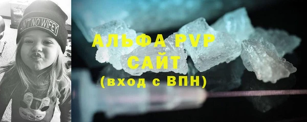 мдпв Каменногорск
