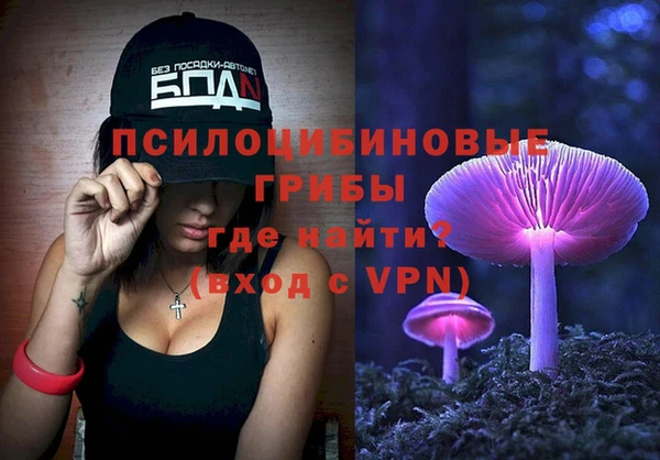 мдпв Каменногорск