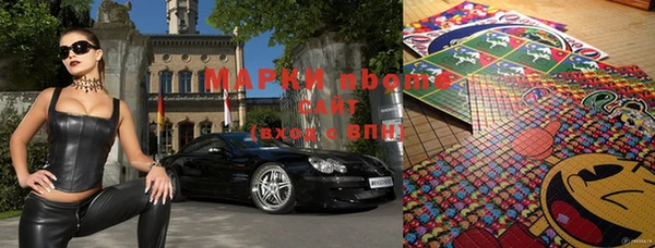 мдпв Каменногорск