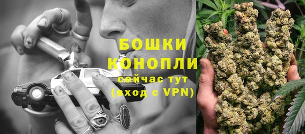 мдпв Каменногорск