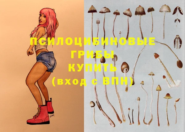 героин Каменка