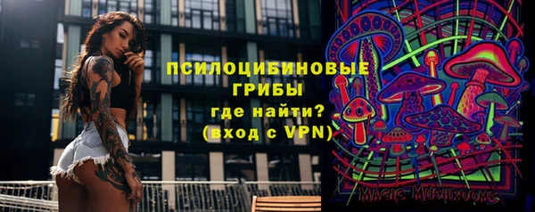 мдпв Каменногорск
