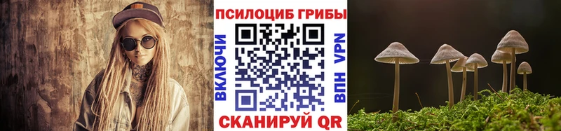 Псилоцибиновые грибы мухоморы  купить наркотики цена  Ахтырский 